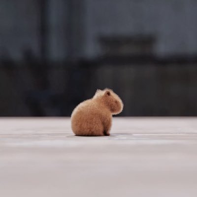 _yangii_'s profile picture. 본진 여럿이고 스치면 진짜 다 애배🤦그냥 뮤지컬이 너무 좋아(๑˃̵ᴗ˂̵)و