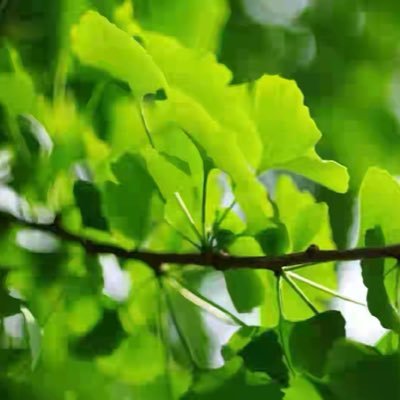 J3042944839040's profile picture. 