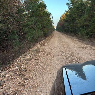 Pammybutters's profile picture. ✨ “Lover of laughter, deep talks, and good vibes. Family means everything, and I believe in kindness first. Looking for real connections, not games.” ✨