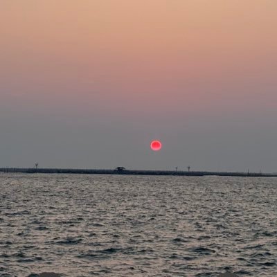 loseruch's profile picture. 