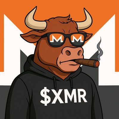 MomSaidNoKYC's profile picture. 