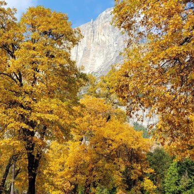 Cathy_Li_'s profile picture. Computer Science/Artificial intelligence