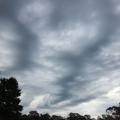 RoddaSelwyn's profile picture. Artist Eco-anarcho-socialist Anti-imperialist Anti-war #ClimateAction #postcapitalism #rewilding #DeepEcology #Vegan #TransRightsAreHumanRights #FreePalestine