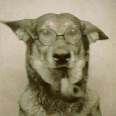 5_57PM's profile picture. can’t get ‘em, can’t keep ‘em.