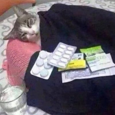 daddysfavgirrl's profile picture. زر نزن دارم صحبت میکنم