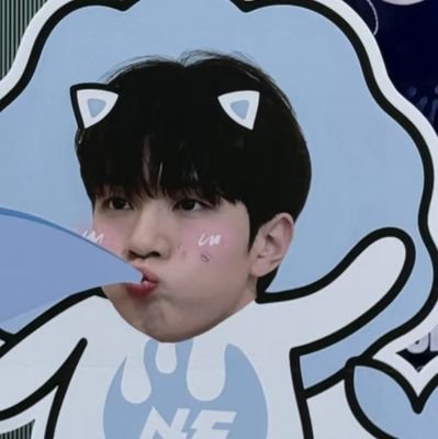 zengzeng899's profile picture. Always support N.Flying