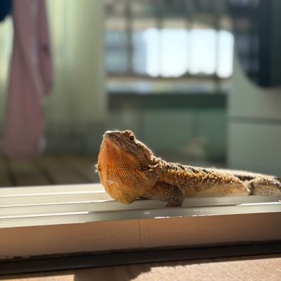 planaggregate's profile picture. 