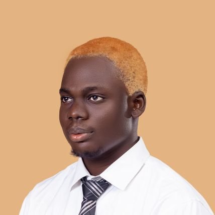 justganiu's profile picture. Automations Specialist