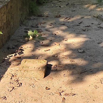 epyob27816's profile picture. 