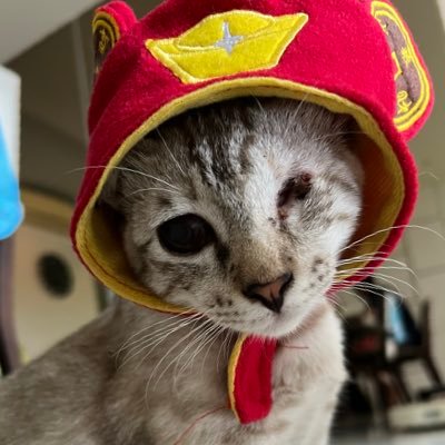 joeeatgrass's profile picture. 