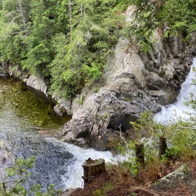 Joedf8k's profile picture. 