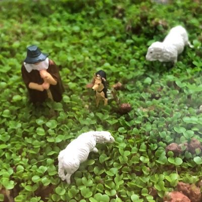 uma_uma_08's profile picture. どこかでエンジニアをしています