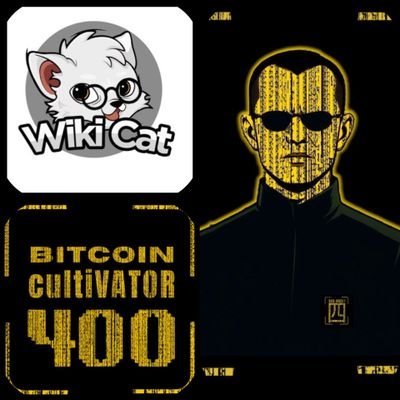 onyekwere170867's profile picture. believer @smcdao $wikicat Holder #BC400