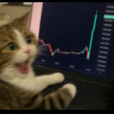 labraaaanjaymes's profile picture. I'm a passionate degen, murse ( male nurse. trust me i hate my job )  and owner of 🐐  lounge-

2025 is the year i make it out the trenches!