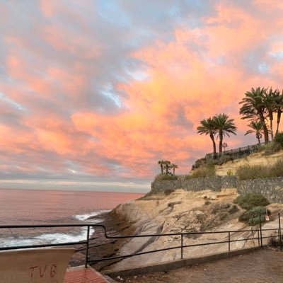 Tillyhowarth's profile picture. 