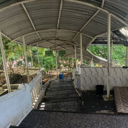 rasioding's profile picture. 