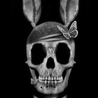 leandrocouto78's profile picture. 📰 Jornalista 🎧 Dj 📀 Conteúdo Digital 😃