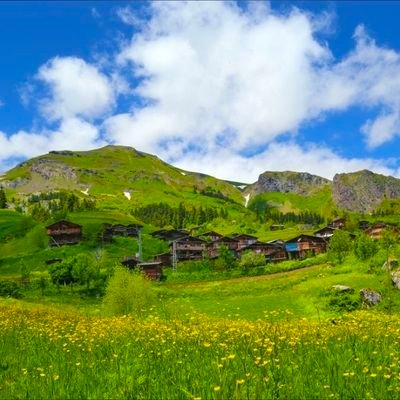 otantik1871's profile picture. Avanti barbari!
 meta üretimi yok edicisi