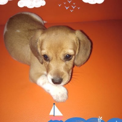 Kaijin1975jo's profile picture. 