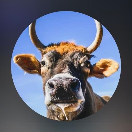 Ziphelele_Ncube's profile picture. One of Gaman, a sedulous student of life! The Phefeni that never walks alone 😊