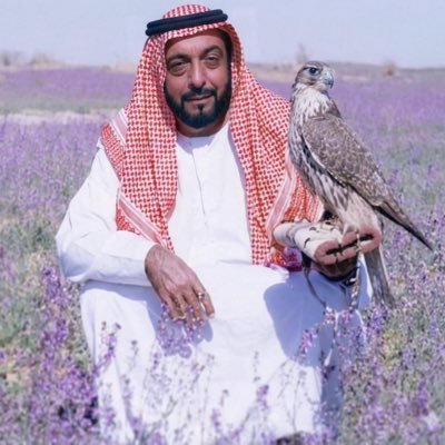 elraln's profile picture. 