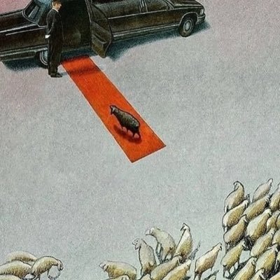 KobbyKeels's profile picture. 