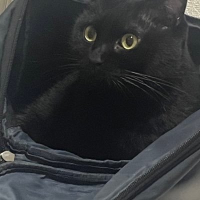 kirimi_1031's profile picture. 