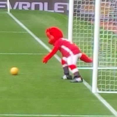 ollie182025's profile picture. Happy Place on the Golf Course ⛳️ & watching the juggernaut slowly turning #MUFC