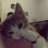7echly_Mire's profile image