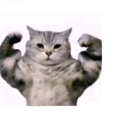 pedrosj07's profile picture. 