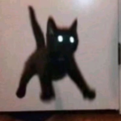 NN0SEBL33D's profile picture. 21