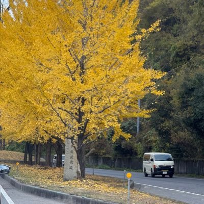 813332a's profile picture. 