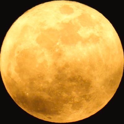 TwoTimeWraith's profile picture. Anti-nWo 🦉 / Free Agent For LYFE #fbgm