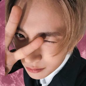 lheesoftie's profile picture. 