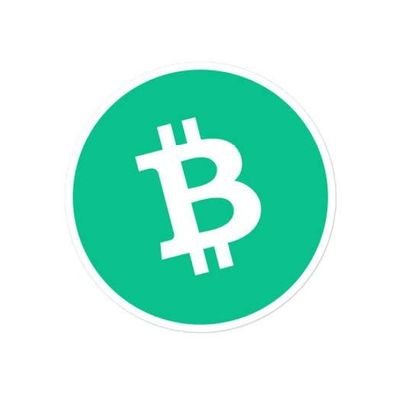 Rogers1880292's profile picture. $BCH the best project