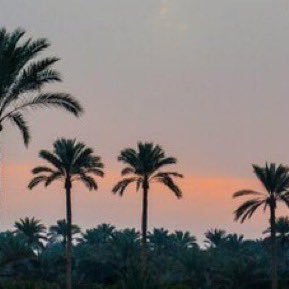 Abomteep's profile picture. لاعب نادي سابق ومدرب حاليا اتذوق الشعر اسمع مايسعدني واترك ما يزعجني:الطبيعة عشقي التصوير فن