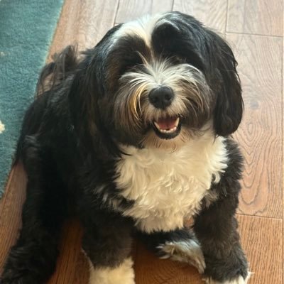 Mnaden's profile picture. loving life - scouser living down south 🤣 #patriots 🇬🇧 #womensrights #keepfemalessafe #Nationalist