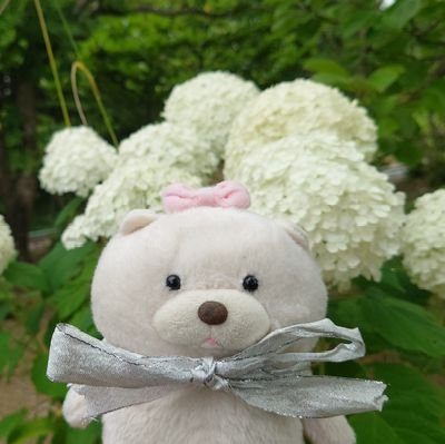 BLACKkoryakorya's profile picture. ㈱アミューズからリリースされているキャラクター「ムクムクむっくん」シリーズのむっくんとムクミのファン垢。

ムクムクむっくん達は主の旅の友という設定で不定期に旅の様子をツイートします、広い心でご覧下さい。