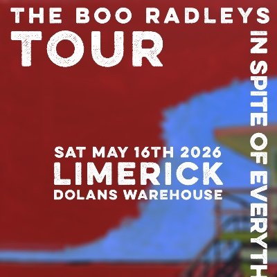 seodashows's profile picture. #FreePalestine