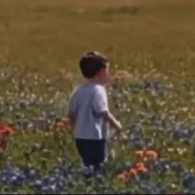 amelik__'s profile picture. کمک کنید هولش بدیم، چرخ ستاره پنچره..