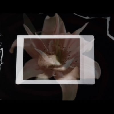 fasstNfurious's profile picture. fifty shades of me