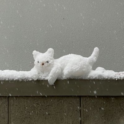 pTj4jvIZDj29006's profile picture. 