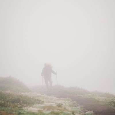 vikas_pandittt's profile picture. पहाड़ों से इश्क़ करने वाला एक आम सा लड़का 🏔️☺️

#कॉर्पोरेटगुलाम🥲