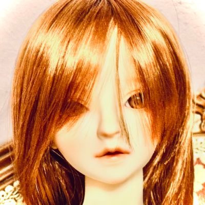 Fergu261476's profile picture. これは私の別のアカウントです。フォロワーはDM返す