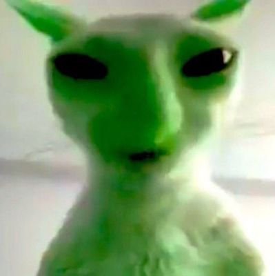 Sokuda_Daio's profile picture. Keru Keru 🐸💚 | Kinda retired SSBU player for @TeamGenesium |  MHA, Oregairu, Octopath, Nier fanatic account 🙏 | Simping 2d girls in my spare time 💖