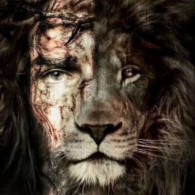 AFSAR_36's profile picture. CEO and Team Owner  ! Dark Don Motorsport !