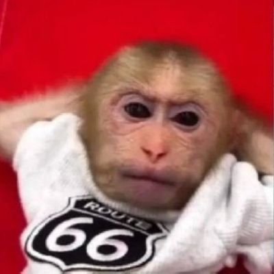 papitafreenbec2's profile picture. 