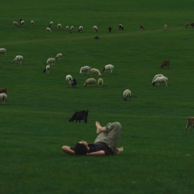 Njie_UTD's profile picture. 