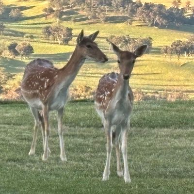 TraceyRead76791's profile picture. Living my best life in the country, a defender of truthful debate. Jesus is the only way.