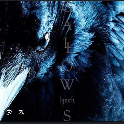 crow19700422's profile picture. 